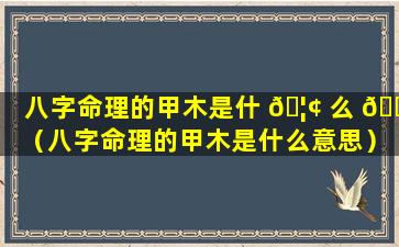 八字命理的甲木是什 🦢 么 🐈 （八字命理的甲木是什么意思）